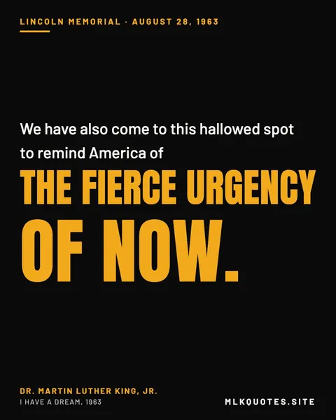 Quote image: “We have also come to this hallowed spot to remind America of the fierce urgency of now.” Martin Luther King Jr., I Have a Dream, 1963.