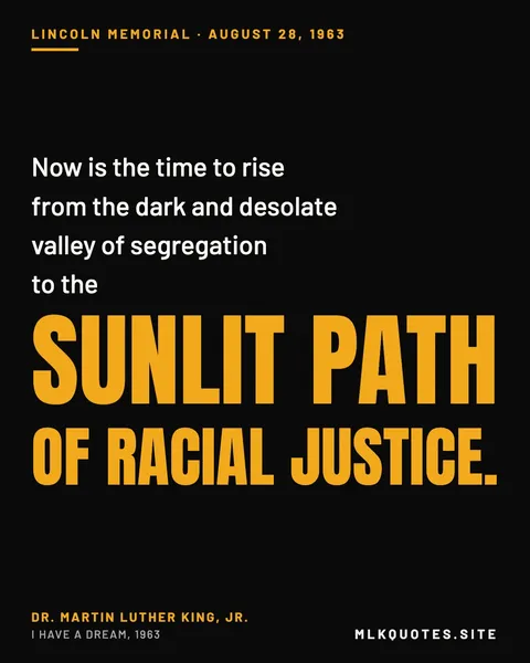 Quote image: “Now is the time to rise from the dark and desolate valley of segregation to the sunlit path of racial justice.” Martin Luther King Jr., I Have a Dream, 1963.